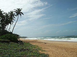 s-P6085855