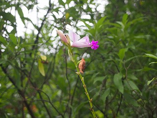 s-P6085949