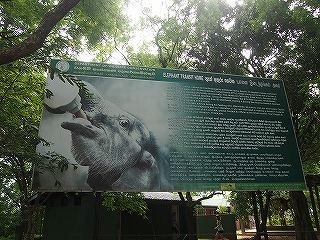 s-P6095974